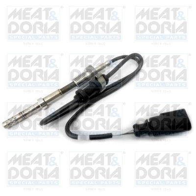 Sensor, exhaust gas temperature